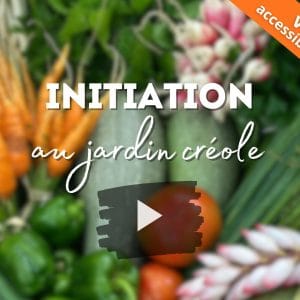initiation-au-jardin-creole