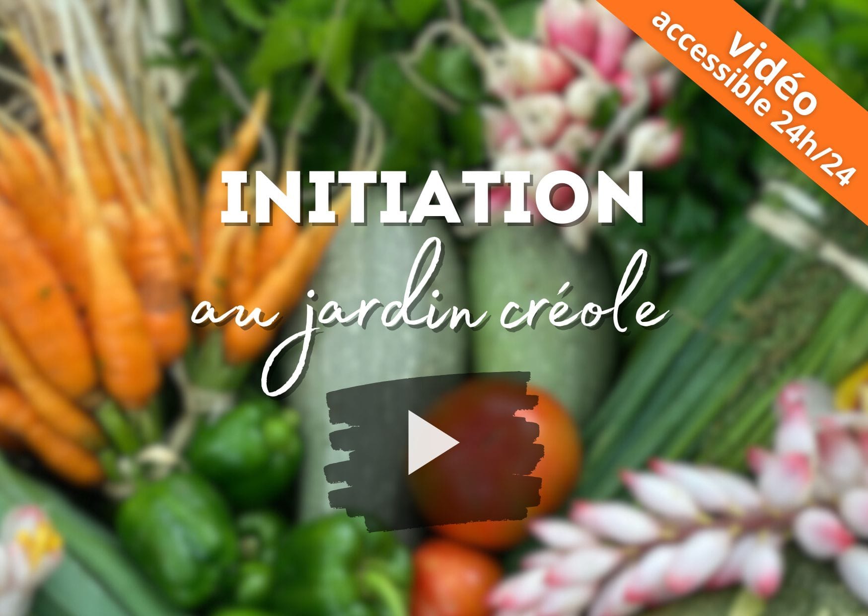 initiation-au-jardin-creole
