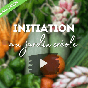 Initiation au jardin créole