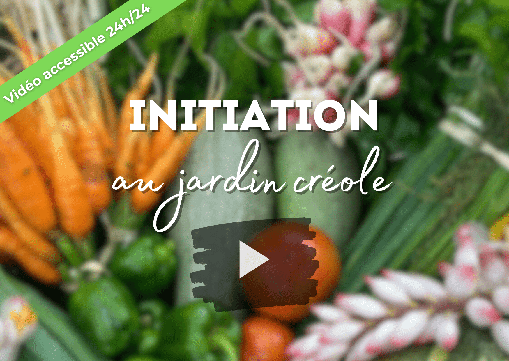Initiation au jardin créole