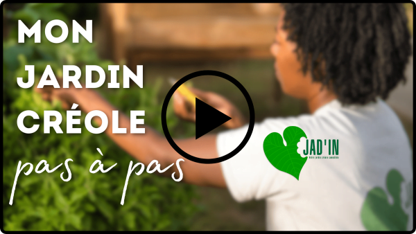 Masterclass Jardin créole