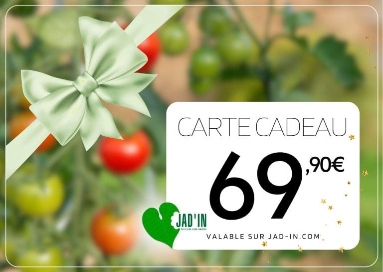 Carte cadeau