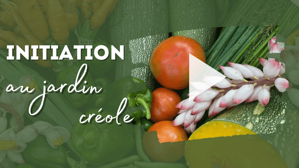 Initiation au jardin créole