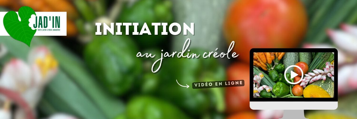 Initiation-jardin-créole