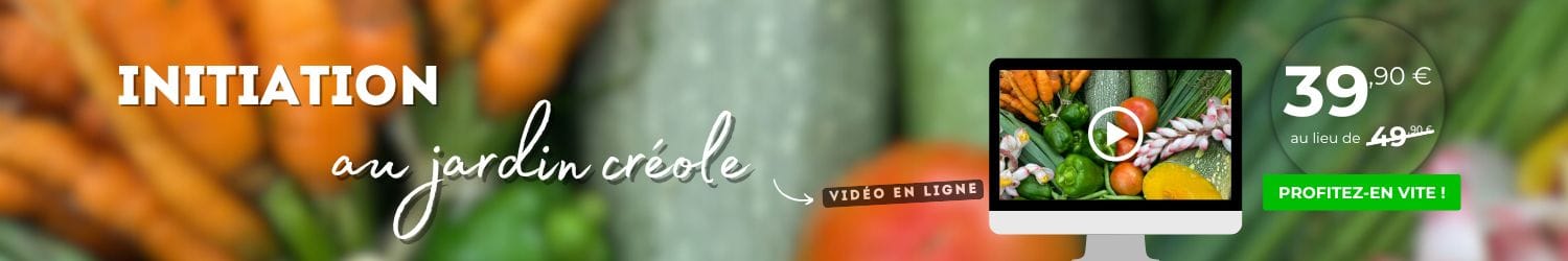 initiation au jardin créole