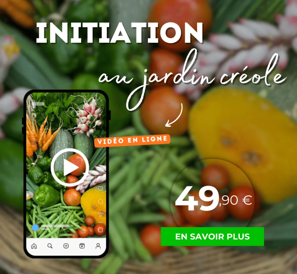 Initiation au jardin créole