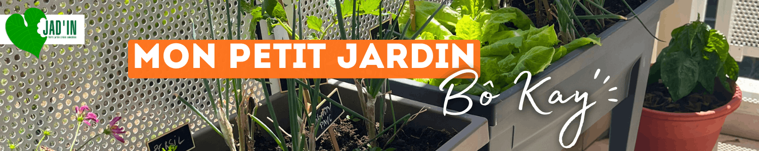 Mon-petit-jardin-bo-kay