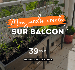Mon jardin créole sur balcon - En direct
