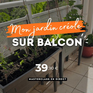 Mon jardin créole sur balcon