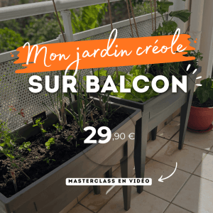 replay - masterclass balcon