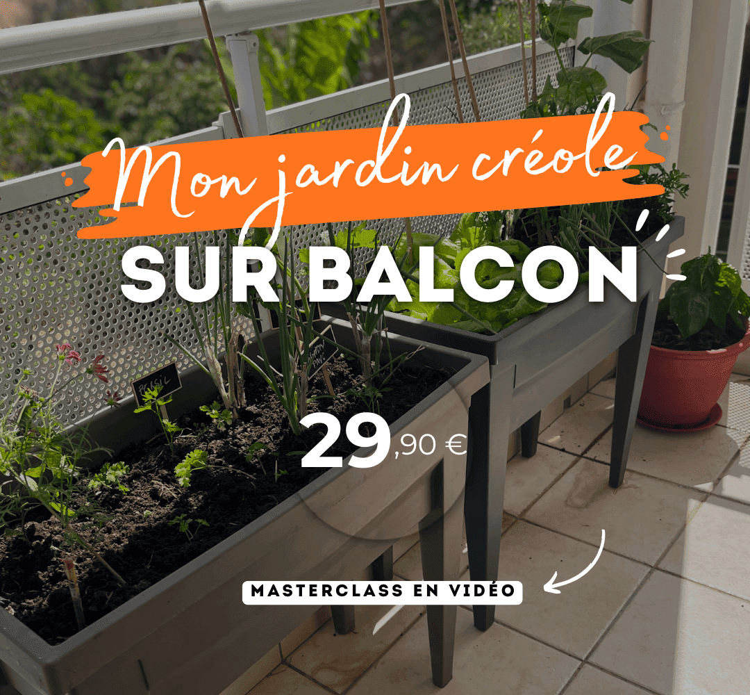 replay - masterclass balcon