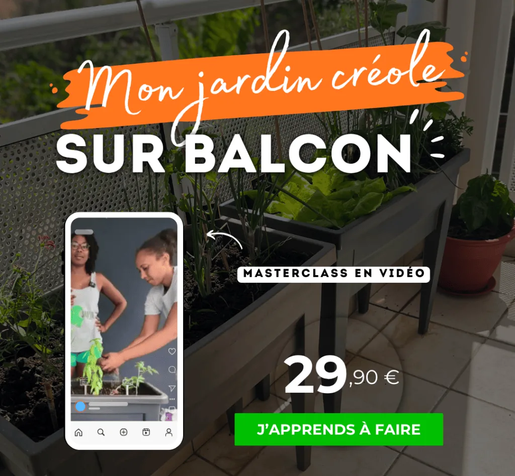 masterclass mon jardin créole sur balcon